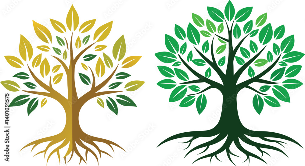 Branches of beautiful trees with green leaves outdoors, bottom view Branches of beautiful trees with green leaves outdoors, bottom view