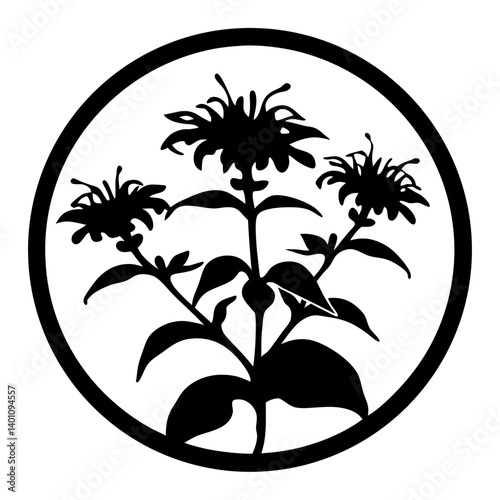 Circular Black and White Silhouette of Three Bee Balm Flowers