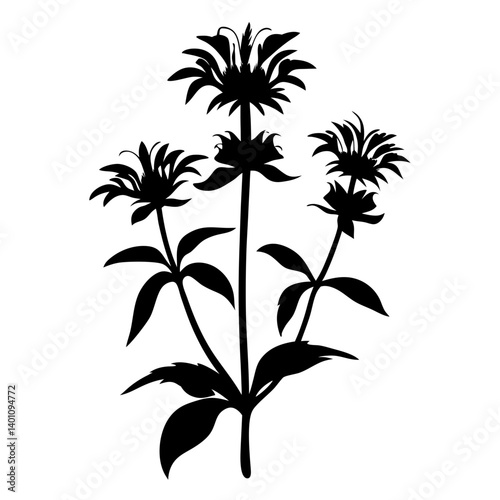 Silhouette of a cluster of three vibrant monarda flowers with lush green leaves a botanical illustration