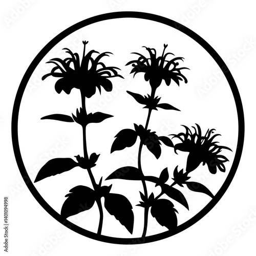 Silhouette of Three Bee Balm Plants in a Circular Frame Botanical Illustration