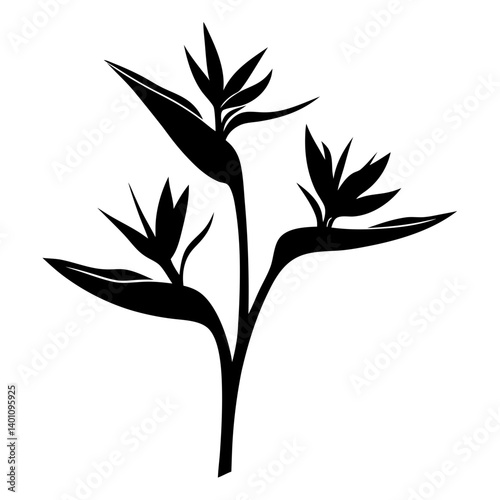 Elegant Black Silhouette of Bird of Paradise Flowers Tropical Plant Illustration
