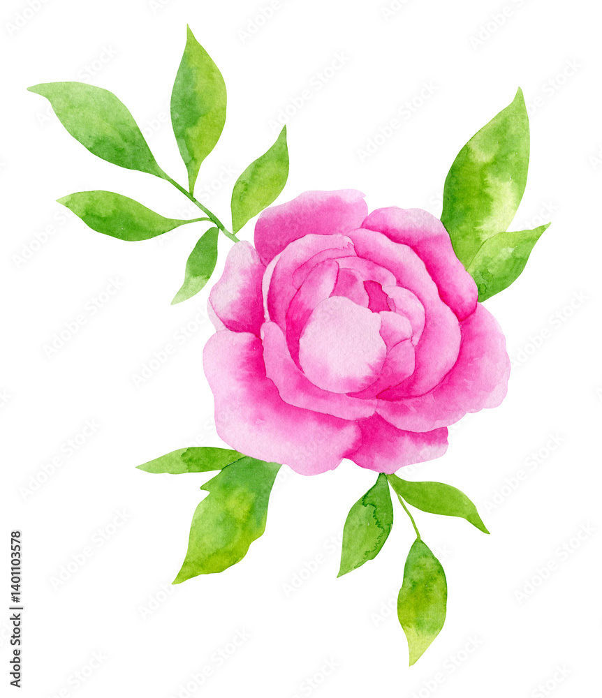 Obraz premium Watercolor illustration of blooming peony flower with leaves on white background. Great for invitations, greeting cards, wedding design.