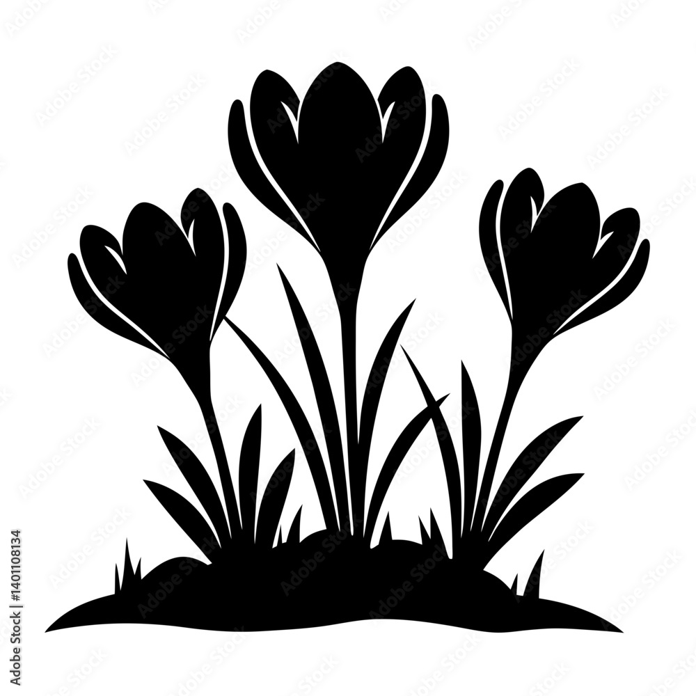 Silhouette of Three Crocus Flowers in Full Bloom Springtime Nature Illustration Silhouette of Three Crocus Flowers in Full Bloom Springtime Nature Illustration