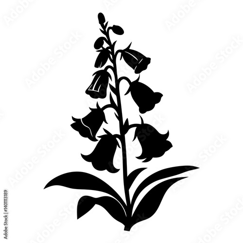 Black Silhouette of a Beautiful Bellflower Plant with Multiple Blooms and Lush Leaves