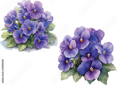 Beautiful purple lilac flowers blossom, isolated spring floral bouquet