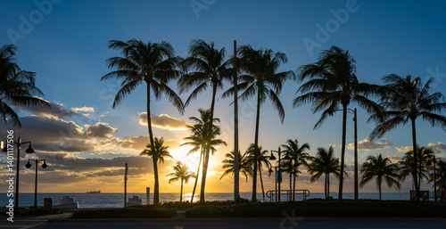 Obraz na płótnie Silhouette of Waving Palm Trees on the Beach at Sunrise. Fort Lauderdale, Florida w salonie