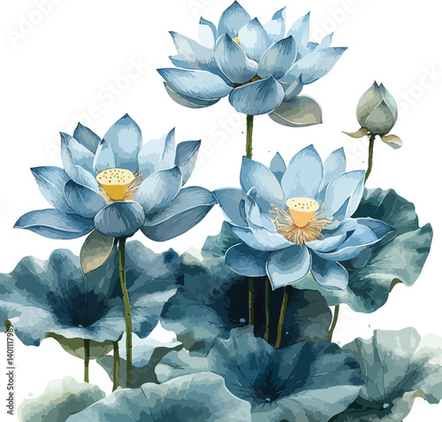 Beautiful  water lily blossom in the pond