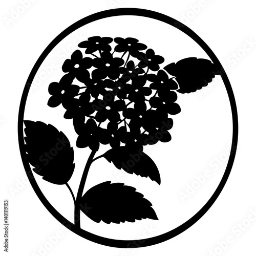 Hydrangea flower cluster silhouette in oval frame
- Black and white silhouette artwork of a hydrangea blossom cluster with detailed leaves enclosed in an oval border, perfect for decoration