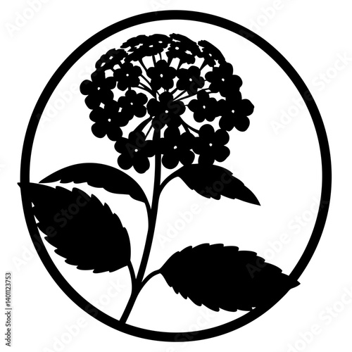 Hydrangea blossom silhouette inside circle- Black silhouette of a single hydrangea flower cluster with broad leaves enclosed in a circle, representing floral elegance, garden plants, and ornament