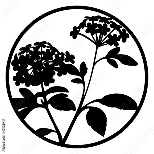 Hydrangea floral silhouette in circular frame- Black silhouette of blooming hydrangea flowers with leaves enclosed in a circle, symbolizing ornamental plants, nature, and decorative botanical art