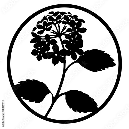 Hydrangea flower silhouette inside circular frame- Black silhouette of a blooming hydrangea flower with detailed leaves enclosed in a circle, symbolizing garden plants, nature, and decorative art