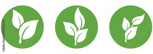 Green leaf icons set. Leaves icon on isolated background. Collection green leaf. Elements design for natural, eco, vegan, bio labels. EPS 10 
