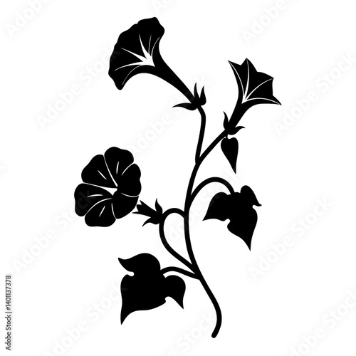 Black and white illustration of morning glory , flower silhouette vector designs.