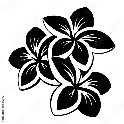 Black and white illustration of plumeria , flower silhouette vector designs.