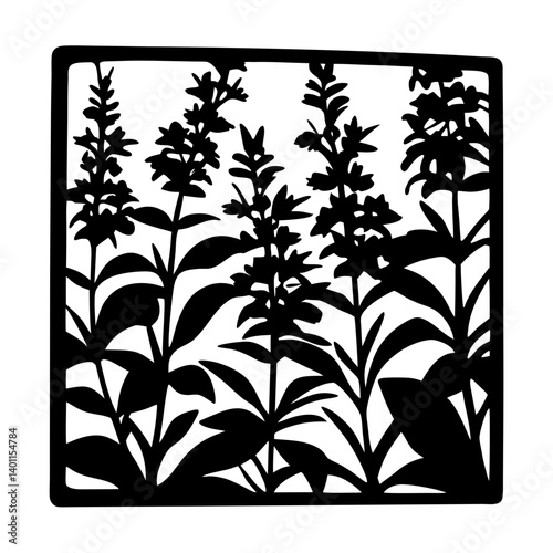 Botanical floral silhouette with tall wildflowers in square frame- Black silhouette artwork of tall blooming wildflowers with leaves, enclosed in a square frame.. An elegant botanical vector design