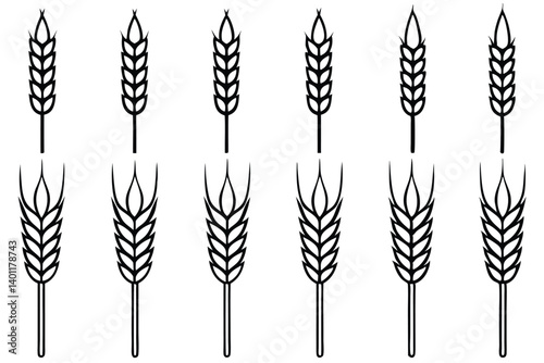 wheat line art set