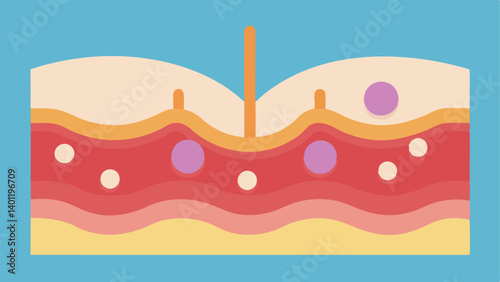 Layered Skin CrossSection A crosssection of skin layers showing nanoparticles trating the outer layer and exosomes targeting skin cells beneath.