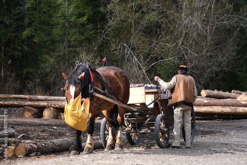 Obraz na płótnie Zakopane, Poland - 4 April 2025: Highlander in traditional clothing stands on horse-drawn cart and waits for tourists. Chochołowska Valley, Zakopane, Tatra Mountains, Poland w salonie
