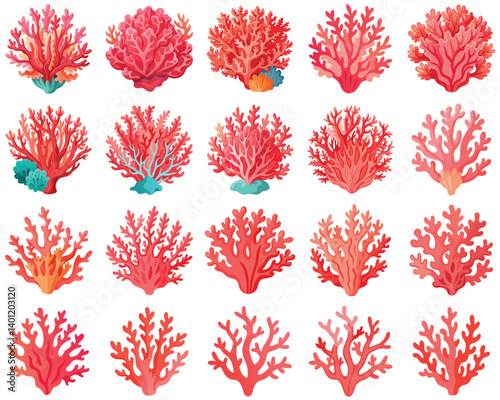 Coral vector illustration isolated on white background.