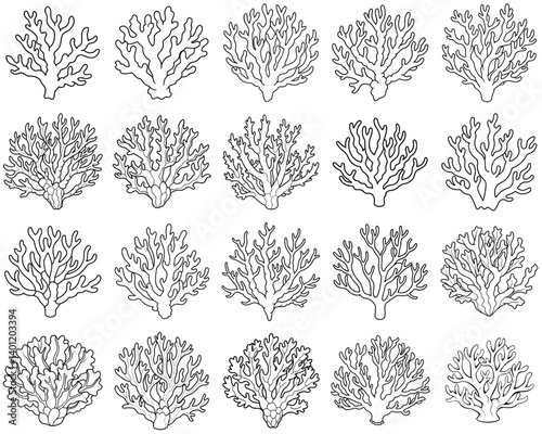 Coral outline vector illustration isolated on white background.
