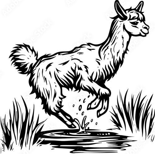alpaca, giraffe, animal, cartoon, wild, safari, vector, zoo, illustration, mammal, animals, nature, wildlife, zebra, neck, cute, tall, funny, baby, drawing, jungle, art, design, set, fun, elephant