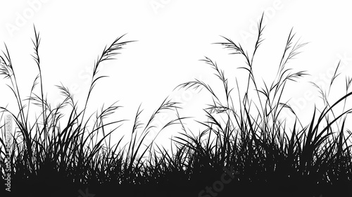 Monochrome Silhouettes of Wild Grasses: Eco-Friendly Nature Design in Black and White