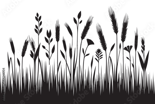 Wild Grasses Silhouette Illustration Nature Field Plants Vector Design