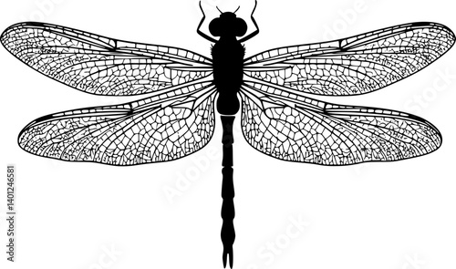 dragonfly icon vector
