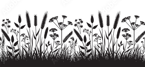 Wild Grass and Flowers Silhouette Vector Illustration Nature Graphic Art