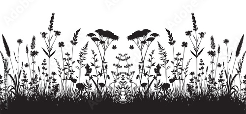 Symmetrical wildflowers and grasses a botanical illustration for design