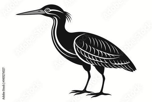 American bittern silhouette black vector