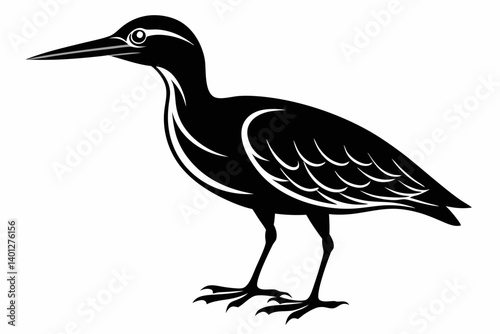 American bittern silhouette black vector