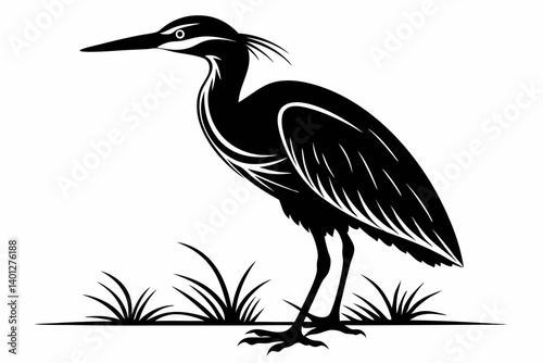 American bittern silhouette black vector