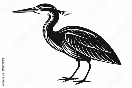 American bittern silhouette black vector