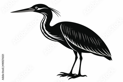 American bittern silhouette black vector