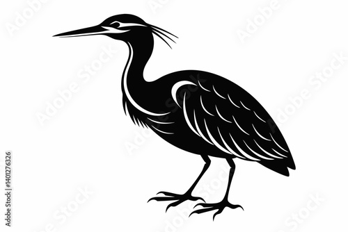 American bittern silhouette black vector