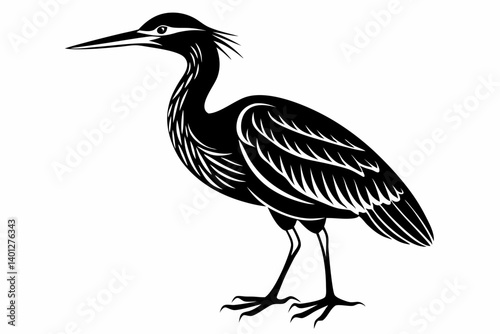 American bittern silhouette black vector