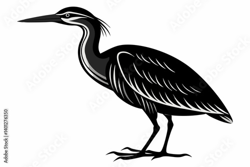 American bittern silhouette black vector