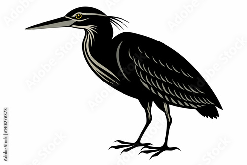 American bittern silhouette black vector