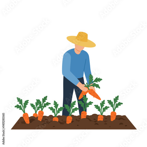 Farmer harvesting carrots in a garden with flat design vector art