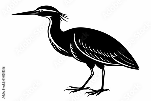 american bittern sihouette black vector