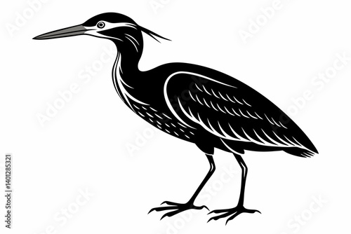 american bittern sihouette black vector
