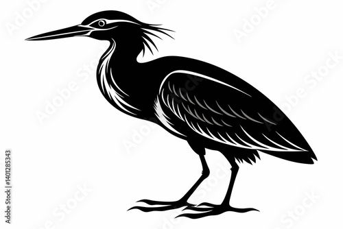american bittern sihouette black vector