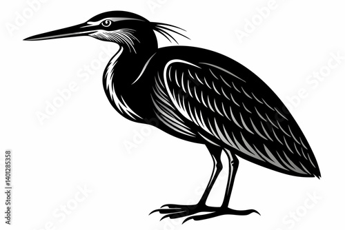american bittern sihouette black vector