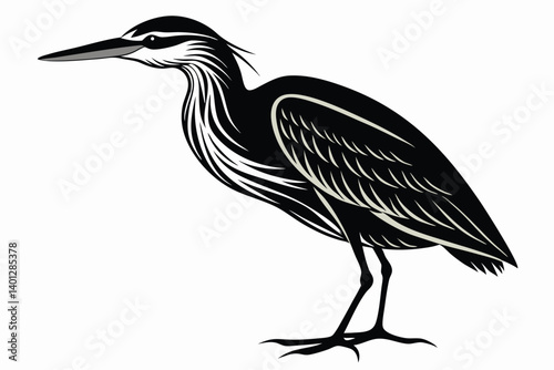 american bittern sihouette black vector