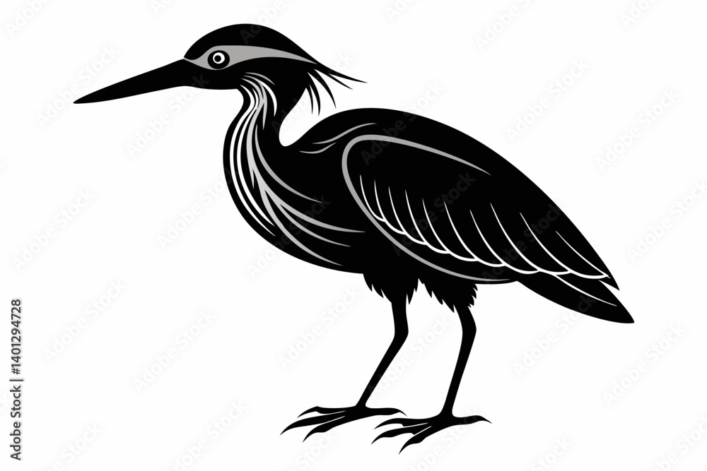 Fototapeta premium american bittern sihouette black vector