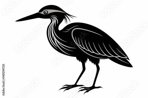 american bittern sihouette black vector