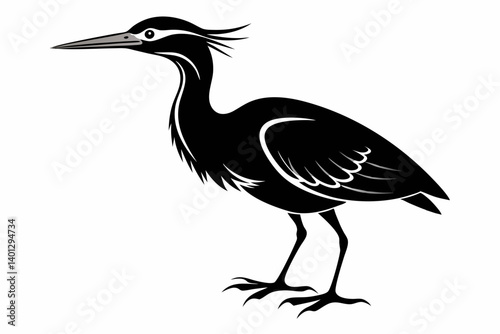 american bittern sihouette black vector