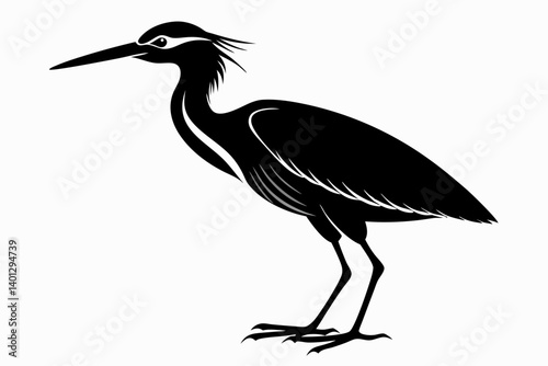 american bittern sihouette black vector