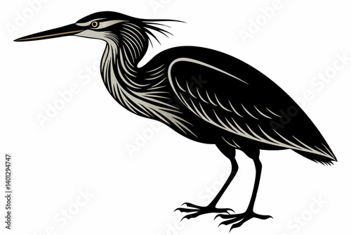 american bittern sihouette black vector